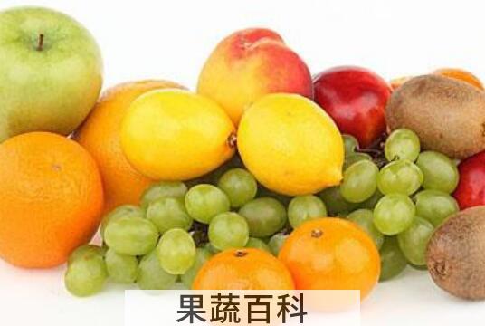 早上吃什么水果减肥效果最好