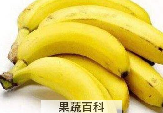 早上吃什么水果减肥效果最好