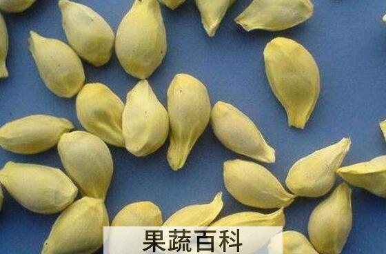 桔子籽粉的功效与作用及副作用