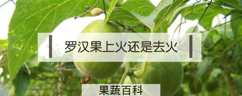 罗汉果上火还是去火