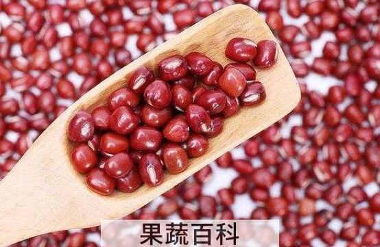 红小豆和红豆的区别 吃红小豆的好处