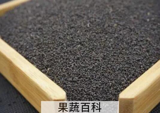 虫茶怎么冲泡 虫茶的正确泡法技巧