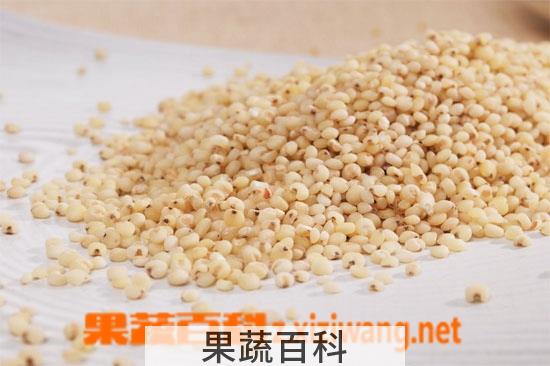 果蔬百科高粱米怎么吃 高粱米的做法大全