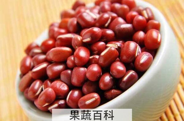 红小豆不能和什么一起吃 红小豆和什么食物相克