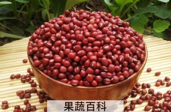 红小豆不能和什么一起吃 红小豆和什么食物相克