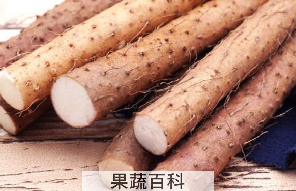 淮山药和铁棍山药的区别 吃铁棍山药的好处