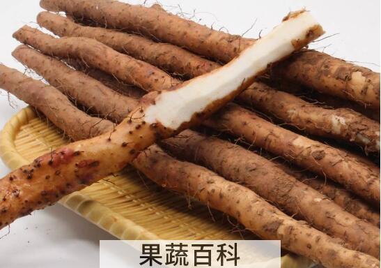 淮山药和铁棍山药的区别 吃铁棍山药的好处