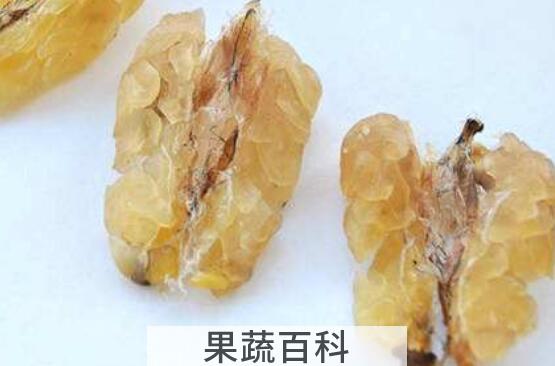 雪蛤酒的功效与作用及副作用