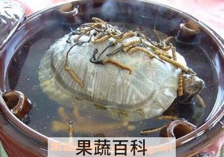 甲鱼血的好处与吃法