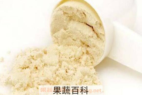 蛋白质粉的功效与作用 蛋白质粉适合什么人吃