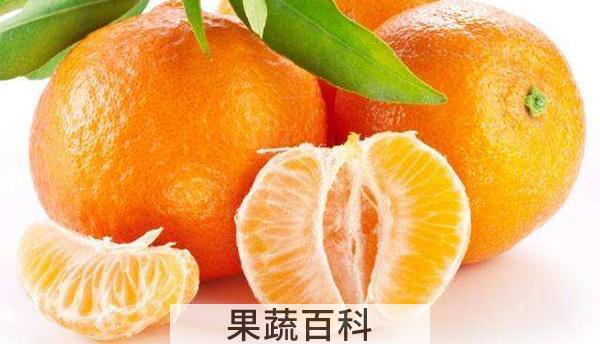 牛奶可以和苹果一起吃吗