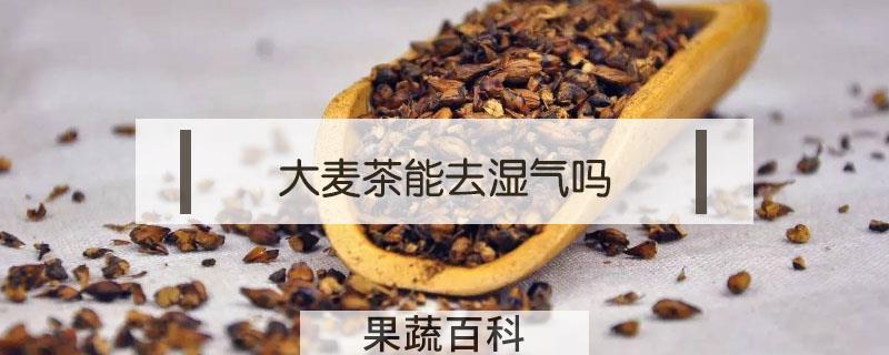 大麦茶能去湿气吗