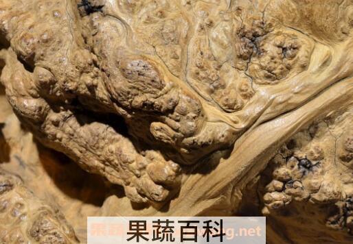 崖柏的功效与作用
