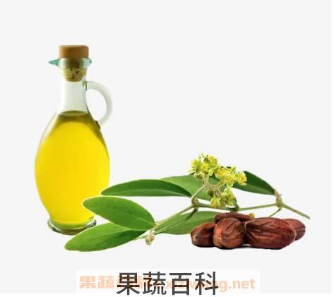 荷荷巴油的功效与作用