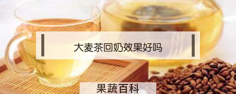大麦茶回奶效果好吗