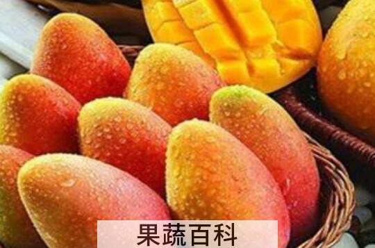 怎么区分芒果能不能吃 吃芒果的好处