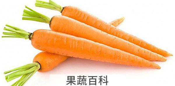 山楂粉用热水泡还是温水
