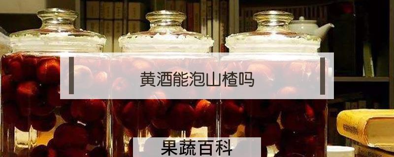 黄酒能泡山楂吗