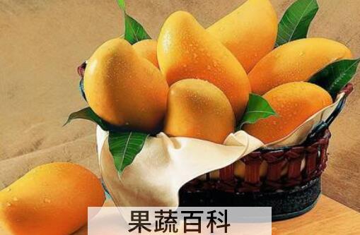 芒果怎么保存可以放得更久