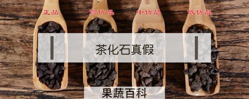 茶化石真假