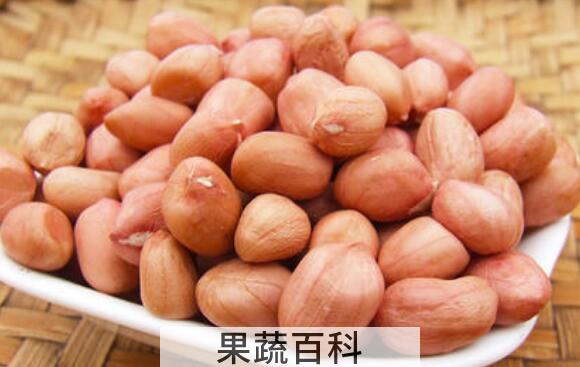 长生果的功效与作用 长生果指的是什么