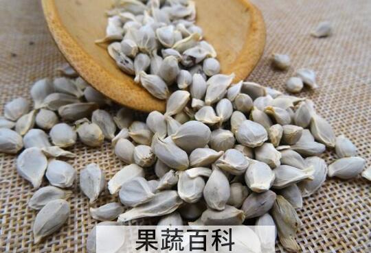 桔子籽粉冲水喝功效