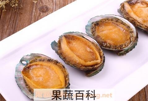 南日鲍的功效与作用