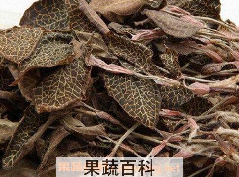 金线莲的功效与作用有哪些