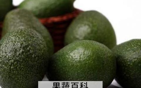 10分钟催熟牛油果 快速催熟牛油果方法