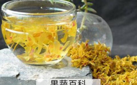 石斛泡水喝的功效与作用 石斛不能和什么一起泡水喝