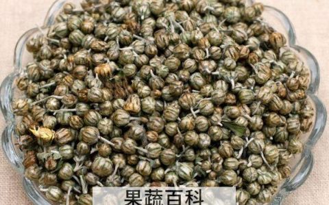 珍珠菊的功效与作用及禁忌