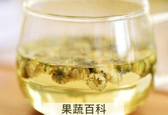 珍珠菊的功效与禁忌