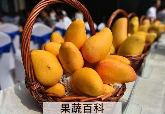 吃芒果的7大禁忌