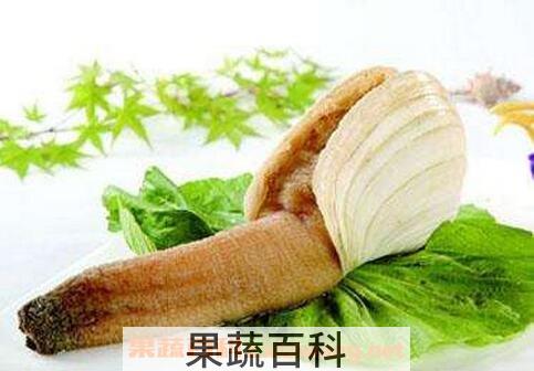 象拔蚌的食疗价值与功效