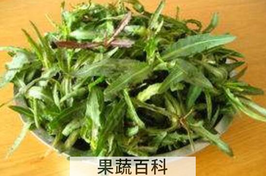 曲曲菜根泡水喝的功效与作用