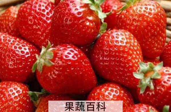 每天吃草莓的最佳时间 吃草莓怎么吃好