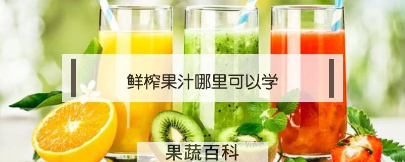 鲜榨果汁哪里可以学