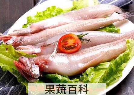 龙头鱼的功效与作用