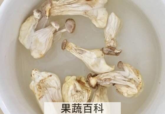 长寿菇怎么泡发 如何泡发干长寿菇