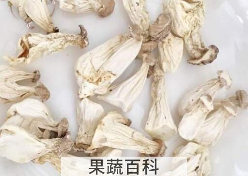 长寿菇怎么泡发 如何泡发干长寿菇