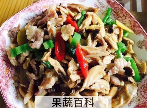 长寿菇怎么做好吃 长寿菇的做法大全