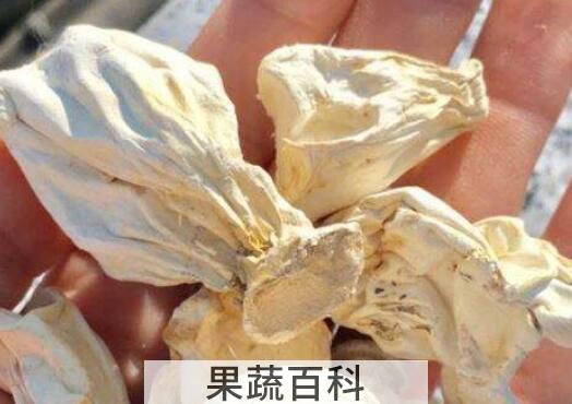 长寿菇的功效与作用