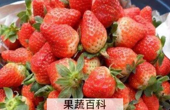 女孩子多吃草莓有什么好处