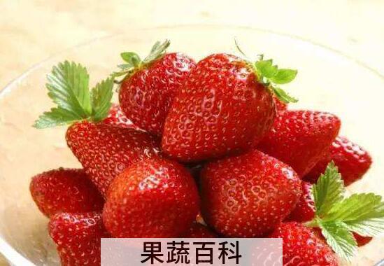 女孩子多吃草莓有什么好处