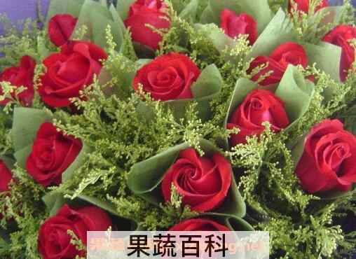 玫瑰花摘下来怎么保存