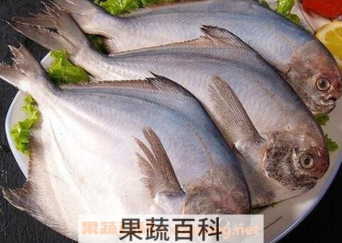 鲳鱼的营养价值与食用功效