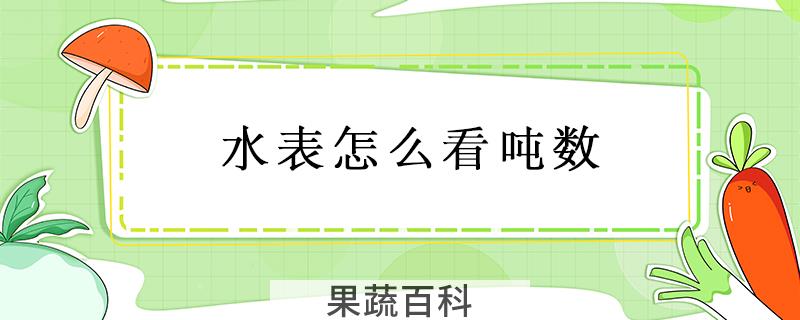 水表怎么看吨数