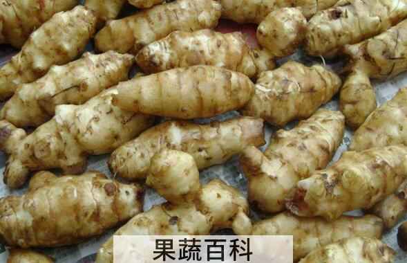 菊芋怎么吃 菊芋的吃法大全