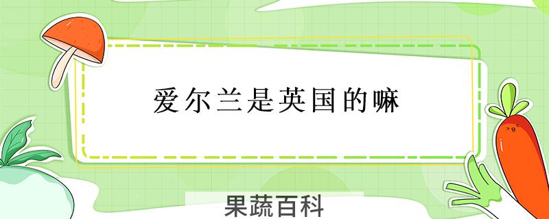 爱尔兰是英国的嘛