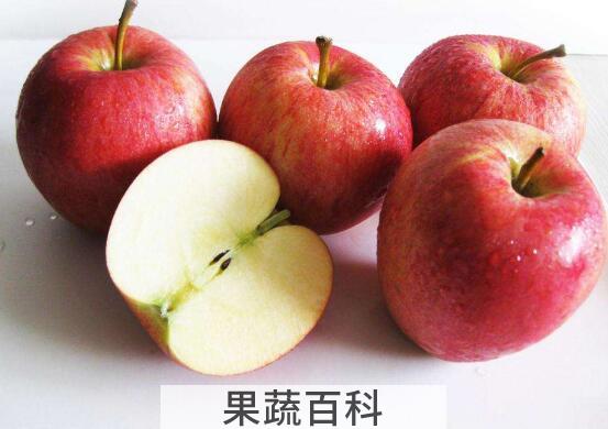 每天吃苹果的最佳时间 每天吃苹果吃几个好